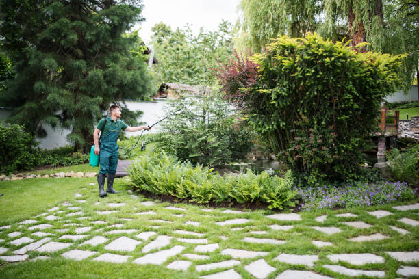 Best Exterminator Services  in Dunlap, TN