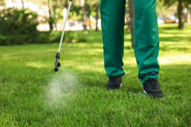 Best Flea Control Services  in Dunlap, TN