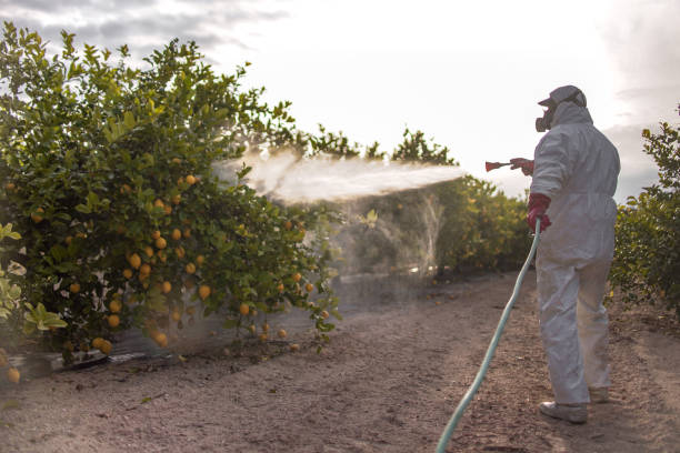Best Commercial Pest Control Services  in Dunlap, TN