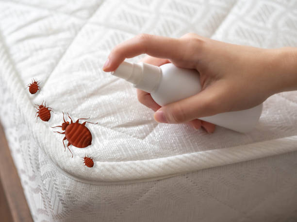 Best Emergency Pest Control  in Dunlap, TN